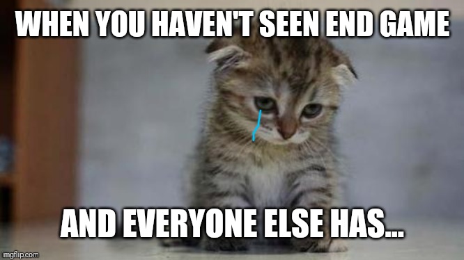 Sad kitten | WHEN YOU HAVEN'T SEEN END GAME; AND EVERYONE ELSE HAS... | image tagged in sad kitten | made w/ Imgflip meme maker