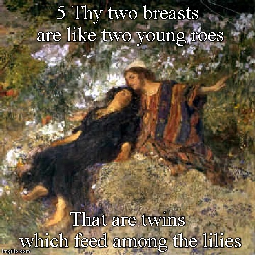 5 Thy two breasts are like two young roes That are twins   which feed among the lilies | made w/ Imgflip meme maker