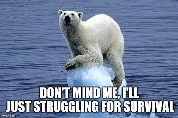 Polar bear climate change | DON'T MIND ME, I'LL JUST STRUGGLING FOR SURVIVAL | image tagged in polar bear climate change | made w/ Imgflip meme maker