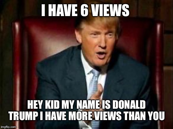 Donald Trump |  I HAVE 6 VIEWS; HEY KID MY NAME IS DONALD TRUMP I HAVE MORE VIEWS THAN YOU | image tagged in donald trump | made w/ Imgflip meme maker