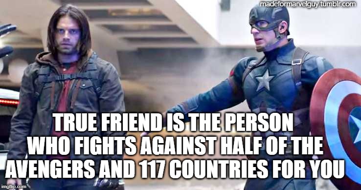 Bucky and Captain | madeformarvelguy.tumblr.com; TRUE FRIEND IS THE PERSON WHO FIGHTS AGAINST HALF OF THE AVENGERS AND 117 COUNTRIES FOR YOU | image tagged in bucky and captain | made w/ Imgflip meme maker