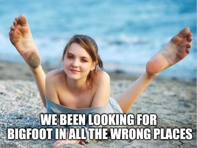 Bigfoot Beach | WE BEEN LOOKING FOR BIGFOOT IN ALL THE WRONG PLACES | image tagged in bigfoot,beach,stereotypes | made w/ Imgflip meme maker