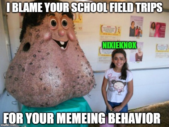 I BLAME YOUR SCHOOL FIELD TRIPS NIXIEKNOX FOR YOUR MEMEING BEHAVIOR | made w/ Imgflip meme maker