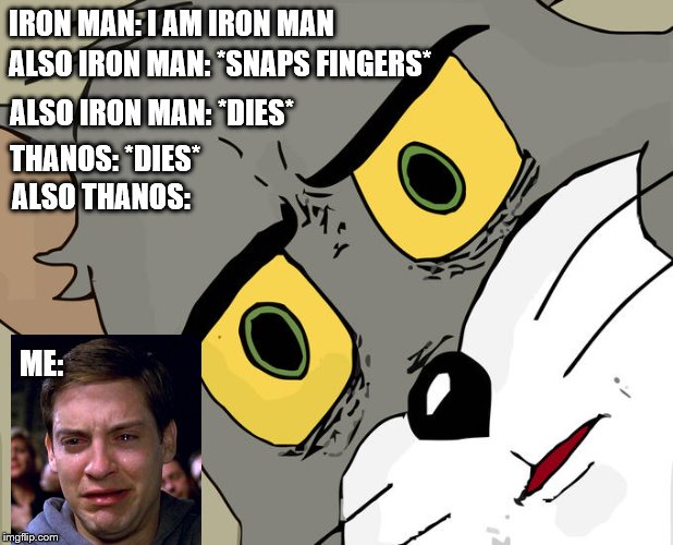 Unsettled Tom Meme | IRON MAN: I AM IRON MAN; ALSO IRON MAN: *SNAPS FINGERS*; ALSO IRON MAN: *DIES*; THANOS: *DIES*; ALSO THANOS:; ME: | image tagged in memes,unsettled tom | made w/ Imgflip meme maker