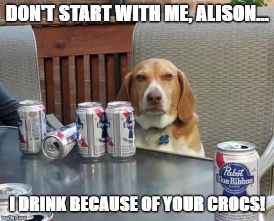 dog beer | DON'T START WITH ME, ALISON... I DRINK BECAUSE OF YOUR CROCS! | image tagged in dog beer | made w/ Imgflip meme maker