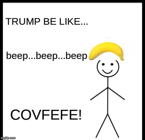 TRUMP BELIKE... COVFEFE | image tagged in donald trump | made w/ Imgflip meme maker