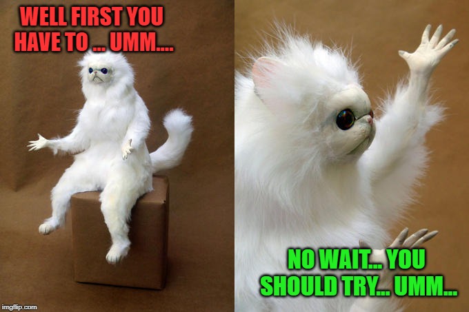 Persian Cat Room Guardian Meme | WELL FIRST YOU HAVE TO ... UMM.... NO WAIT... YOU SHOULD TRY... UMM... | image tagged in memes,persian cat room guardian | made w/ Imgflip meme maker
