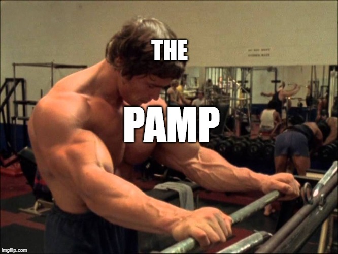 THE; PAMP | made w/ Imgflip meme maker
