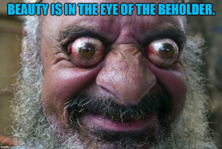 Bug eyes | BEAUTY IS IN THE EYE OF THE BEHOLDER. | image tagged in bug eyes | made w/ Imgflip meme maker