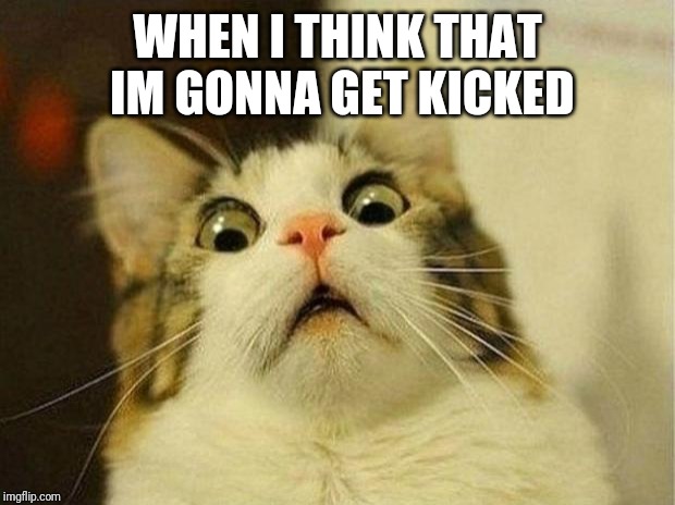 Scared Cat Meme | WHEN I THINK THAT IM GONNA GET KICKED | image tagged in memes,scared cat | made w/ Imgflip meme maker