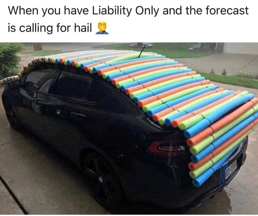 High Quality Hail protection Blank Meme Template