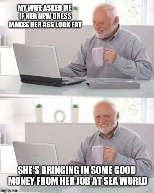 Hide the Pain Harold | MY WIFE ASKED ME IF HER NEW DRESS MAKES HER ASS LOOK FAT; SHE'S BRINGING IN SOME GOOD MONEY FROM HER JOB AT SEA WORLD | image tagged in memes,hide the pain harold | made w/ Imgflip meme maker