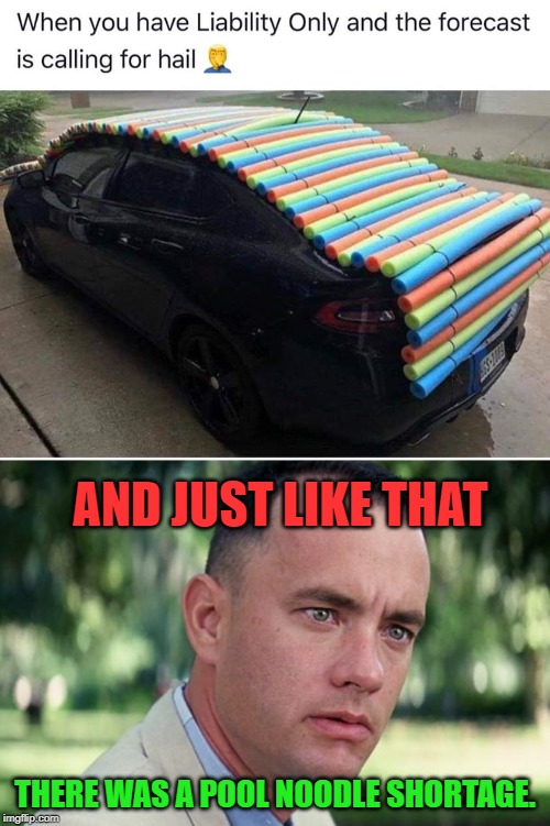 Not a bad idea I suppose. | AND JUST LIKE THAT; THERE WAS A POOL NOODLE SHORTAGE. | image tagged in forrest gump,hail protection,nixieknox | made w/ Imgflip meme maker