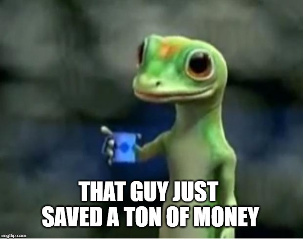 Geico Gecko | THAT GUY JUST SAVED A TON OF MONEY | image tagged in geico gecko | made w/ Imgflip meme maker