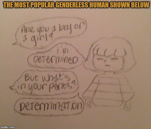 THE MOST POPULAR GENDERLESS HUMAN SHOWN BELOW | made w/ Imgflip meme maker