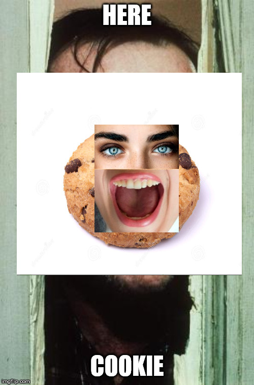 cookie | HERE; COOKIE | image tagged in suprise,cookies | made w/ Imgflip meme maker