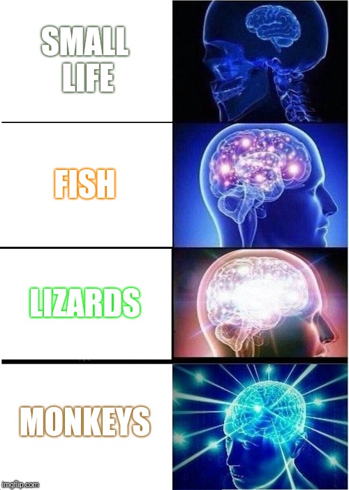 Brain cancer | SMALL LIFE; FISH; LIZARDS; MONKEYS | image tagged in memes,super saiyan | made w/ Imgflip meme maker