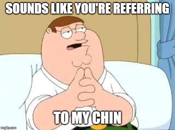 peter griffin go on | SOUNDS LIKE YOU'RE REFERRING TO MY CHIN | image tagged in peter griffin go on | made w/ Imgflip meme maker