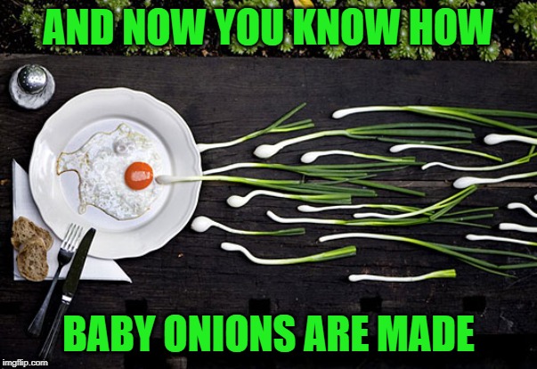 I was first to the egg!!! | AND NOW YOU KNOW HOW; BABY ONIONS ARE MADE | image tagged in onion conception,memes,onions,funny,veggies | made w/ Imgflip meme maker