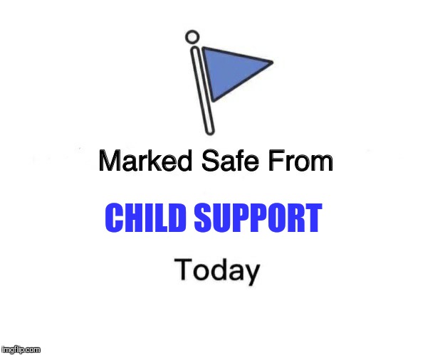 Marked safe | CHILD SUPPORT | image tagged in marked safe | made w/ Imgflip meme maker