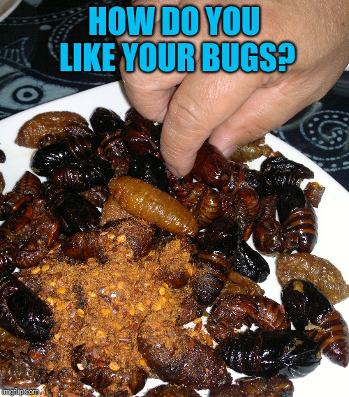 HOW DO YOU LIKE YOUR BUGS? | made w/ Imgflip meme maker