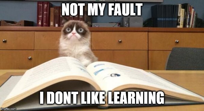 Grumpy Cat Studying | NOT MY FAULT I DONT LIKE LEARNING | image tagged in grumpy cat studying | made w/ Imgflip meme maker