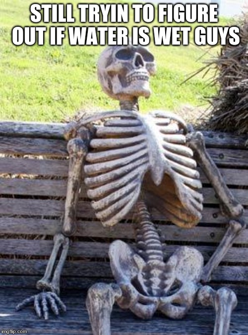 didn't want to drink it cause I didn't know what it was | STILL TRYIN TO FIGURE OUT IF WATER IS WET GUYS | image tagged in memes,waiting skeleton,water,wet,dry,funny | made w/ Imgflip meme maker