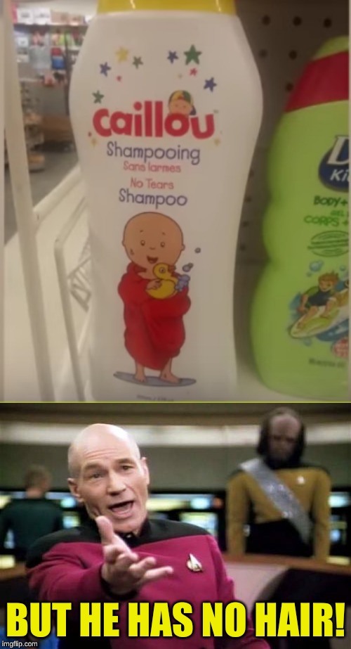 Neither does Picard! We should make Picard Shampoo! | BUT HE HAS NO HAIR! | image tagged in memes,picard wtf,caillou,shampoo,graphic design problems,funny | made w/ Imgflip meme maker