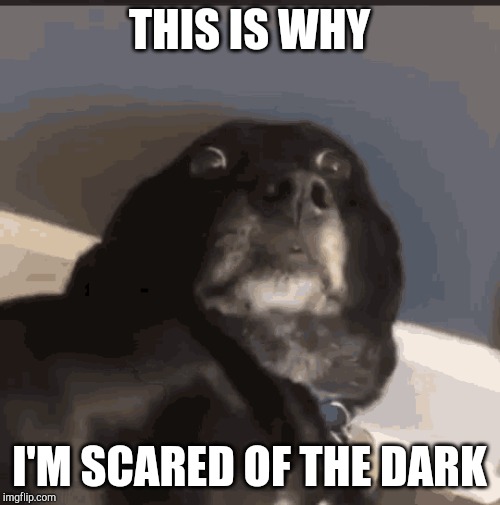 THIS IS WHY I'M SCARED OF THE DARK | made w/ Imgflip meme maker