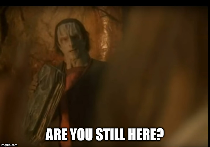 Dukat Are You Still Here? | ARE YOU STILL HERE? | image tagged in memes | made w/ Imgflip meme maker