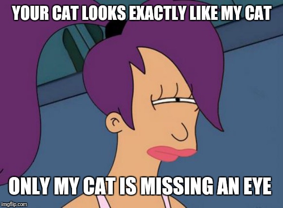 Futurama Leela Meme | YOUR CAT LOOKS EXACTLY LIKE MY CAT ONLY MY CAT IS MISSING AN EYE | image tagged in memes,futurama leela | made w/ Imgflip meme maker