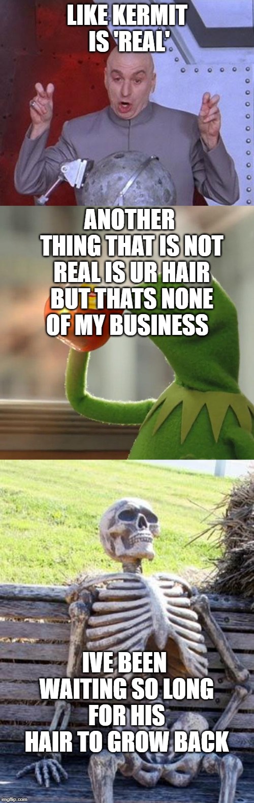 LIKE KERMIT IS 'REAL'; ANOTHER THING THAT IS NOT REAL IS UR HAIR BUT THATS NONE OF MY BUSINESS; IVE BEEN WAITING SO LONG FOR HIS HAIR TO GROW BACK | image tagged in memes,waiting skeleton,but thats none of my business,dr evil laser | made w/ Imgflip meme maker