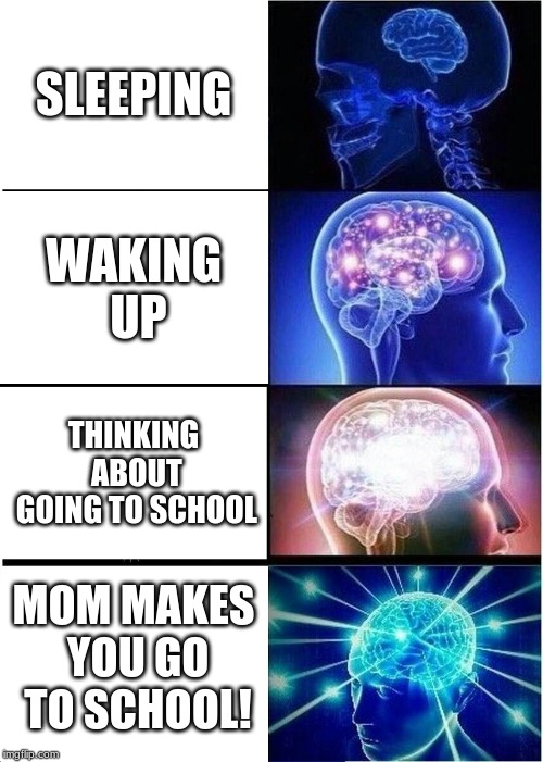 Expanding Brain | SLEEPING; WAKING UP; THINKING ABOUT GOING TO SCHOOL; MOM MAKES YOU GO TO SCHOOL! | image tagged in memes,expanding brain | made w/ Imgflip meme maker