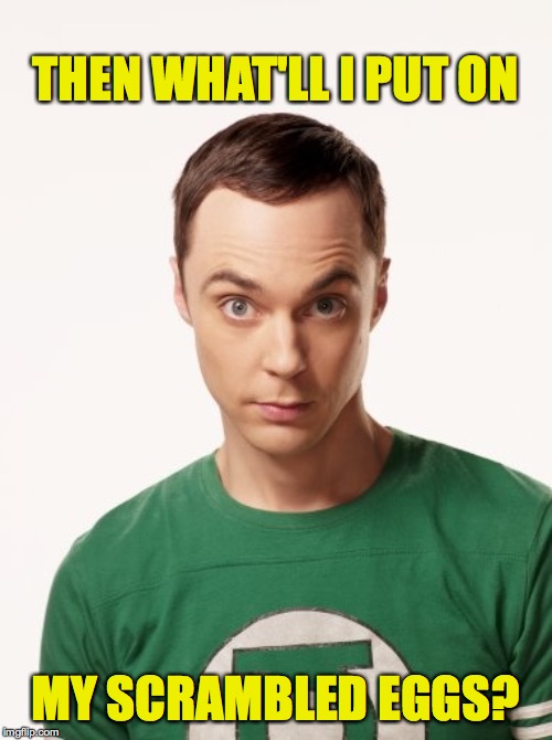 Sheldon Cooper | THEN WHAT'LL I PUT ON MY SCRAMBLED EGGS? | image tagged in sheldon cooper | made w/ Imgflip meme maker