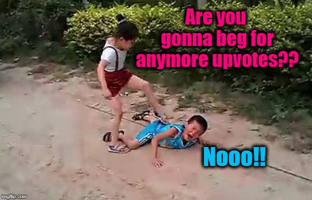 LOL. Yeah, suuuuuuure you're not | Are you gonna beg for anymore upvotes?? Nooo!! | image tagged in fight | made w/ Imgflip meme maker