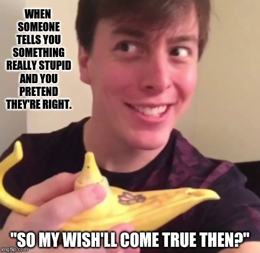 Yeah, this face kills me too | WHEN SOMEONE TELLS YOU SOMETHING REALLY STUPID AND YOU PRETEND THEY'RE RIGHT. "SO MY WISH'LL COME TRUE THEN?" | image tagged in memes,funny,thomas sanders | made w/ Imgflip meme maker