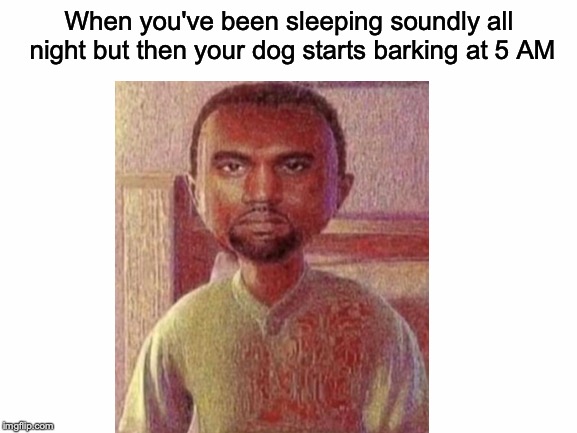 BRUH MOMENT | When you've been sleeping soundly all night but then your dog starts barking at 5 AM | image tagged in memes,funny,dank memes,deep fried,dogs,relatable | made w/ Imgflip meme maker