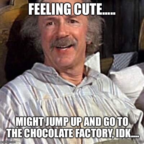 Chocolate Factory | FEELING CUTE..... MIGHT JUMP UP AND GO TO THE CHOCOLATE FACTORY, IDK.... | image tagged in feeling cute | made w/ Imgflip meme maker