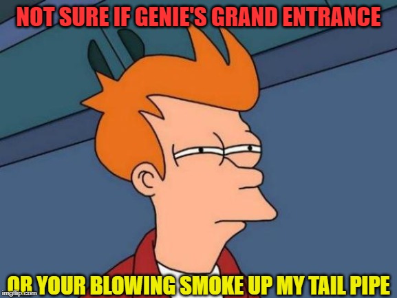 Futurama Fry Meme | NOT SURE IF GENIE'S GRAND ENTRANCE OR YOUR BLOWING SMOKE UP MY TAIL PIPE | image tagged in memes,futurama fry | made w/ Imgflip meme maker