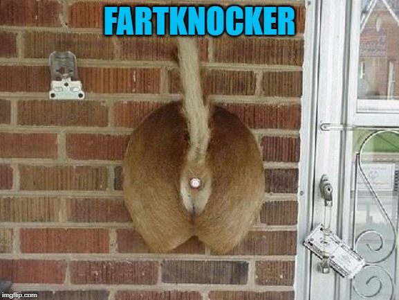 FARTKNOCKER | made w/ Imgflip meme maker