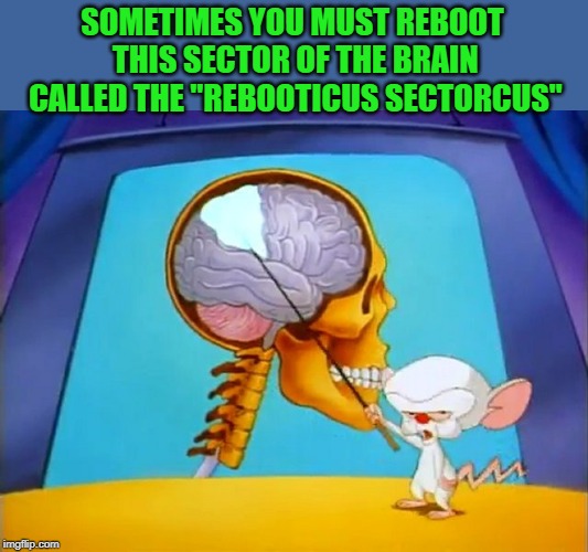 the brain | SOMETIMES YOU MUST REBOOT THIS SECTOR OF THE BRAIN CALLED THE "REBOOTICUS SECTORCUS" | image tagged in the brain | made w/ Imgflip meme maker