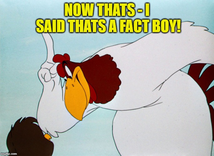 fog horn | NOW THATS - I SAID THATS A FACT BOY! | image tagged in fog horn | made w/ Imgflip meme maker