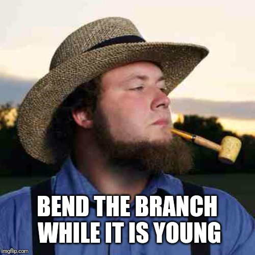 BEND THE BRANCH WHILE IT IS YOUNG | made w/ Imgflip meme maker