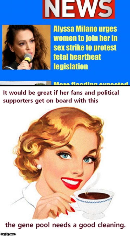 Hollywood's biggest attention hound is at it again | image tagged in alyssa milano,fetal heartbeat,legislation,attention hound,celebrities,liberalism | made w/ Imgflip meme maker