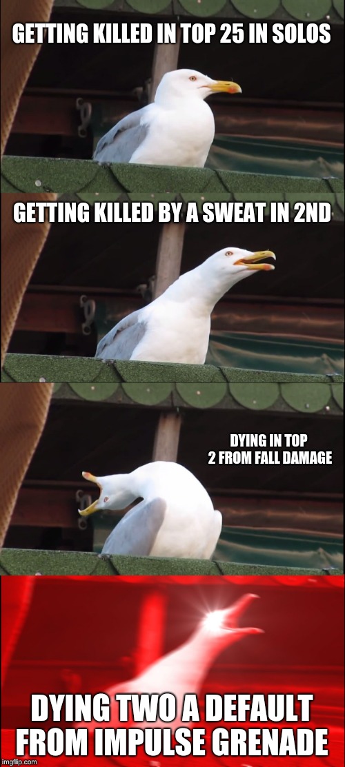 Inhaling Seagull | GETTING KILLED IN TOP 25 IN SOLOS; GETTING KILLED BY A SWEAT IN 2ND; DYING IN TOP 2 FROM FALL DAMAGE; DYING TWO A DEFAULT FROM IMPULSE GRENADE | image tagged in memes,inhaling seagull | made w/ Imgflip meme maker