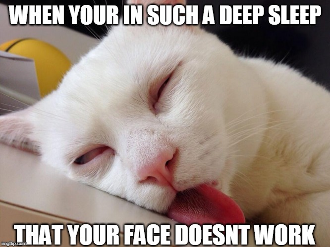 SLEEP FACE | WHEN YOUR IN SUCH A DEEP SLEEP; THAT YOUR FACE DOESNT WORK | image tagged in cat,sleeping cat | made w/ Imgflip meme maker