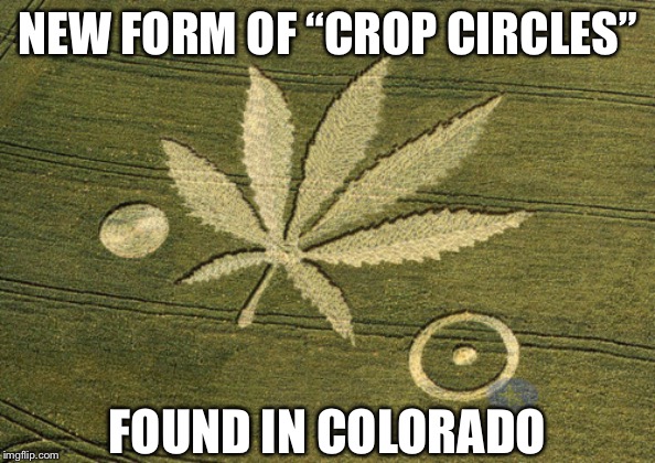 Marijuana Crop Circle | NEW FORM OF “CROP CIRCLES”; FOUND IN COLORADO | image tagged in marijuana crop circle | made w/ Imgflip meme maker