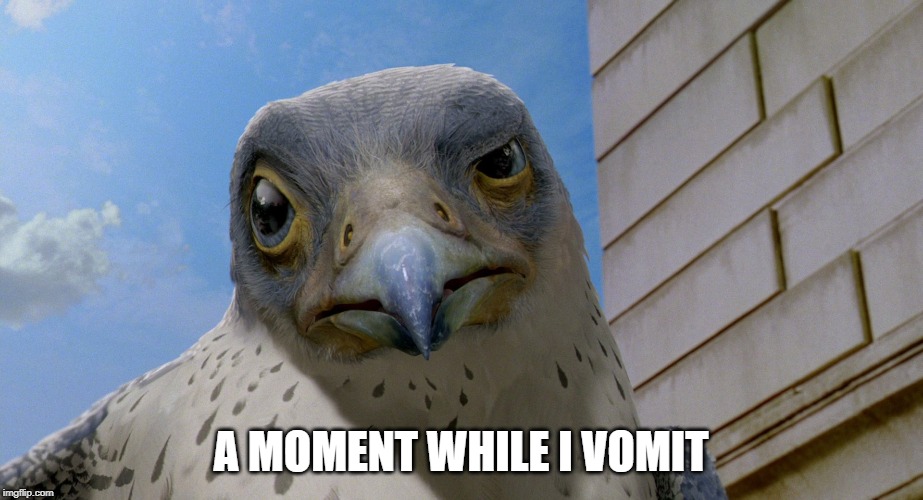 A Moment While I Vomit | A MOMENT WHILE I VOMIT | image tagged in falcon,disapproval,disgusted | made w/ Imgflip meme maker