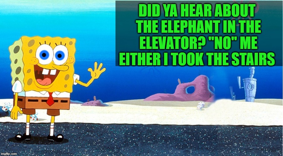 joke | DID YA HEAR ABOUT THE ELEPHANT IN THE ELEVATOR? "NO" ME EITHER I TOOK THE STAIRS | image tagged in spongbob,joke | made w/ Imgflip meme maker