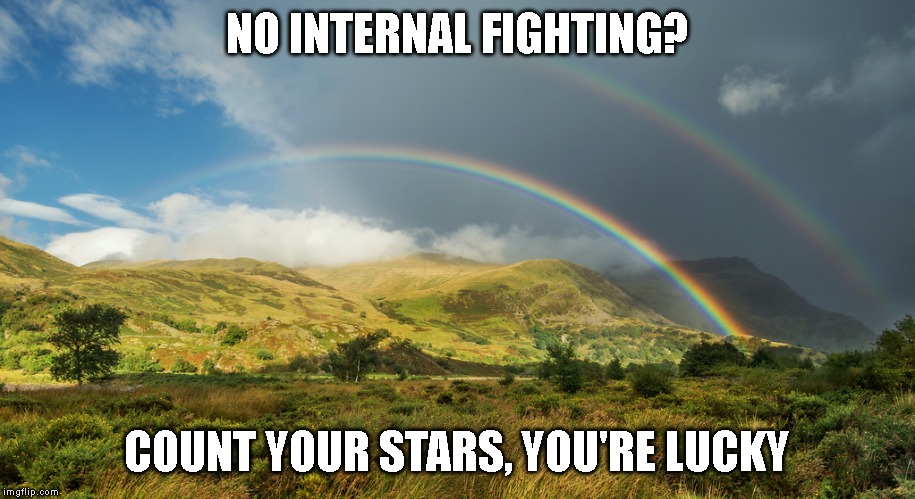 No internal fighting? | NO INTERNAL FIGHTING? COUNT YOUR STARS, YOU'RE LUCKY | image tagged in the daily struggle,lucky,battle within,not alone,count your stars | made w/ Imgflip meme maker